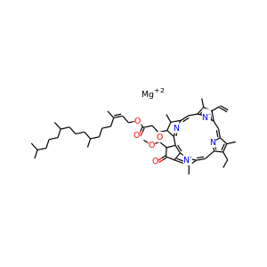 Chlorophyll A